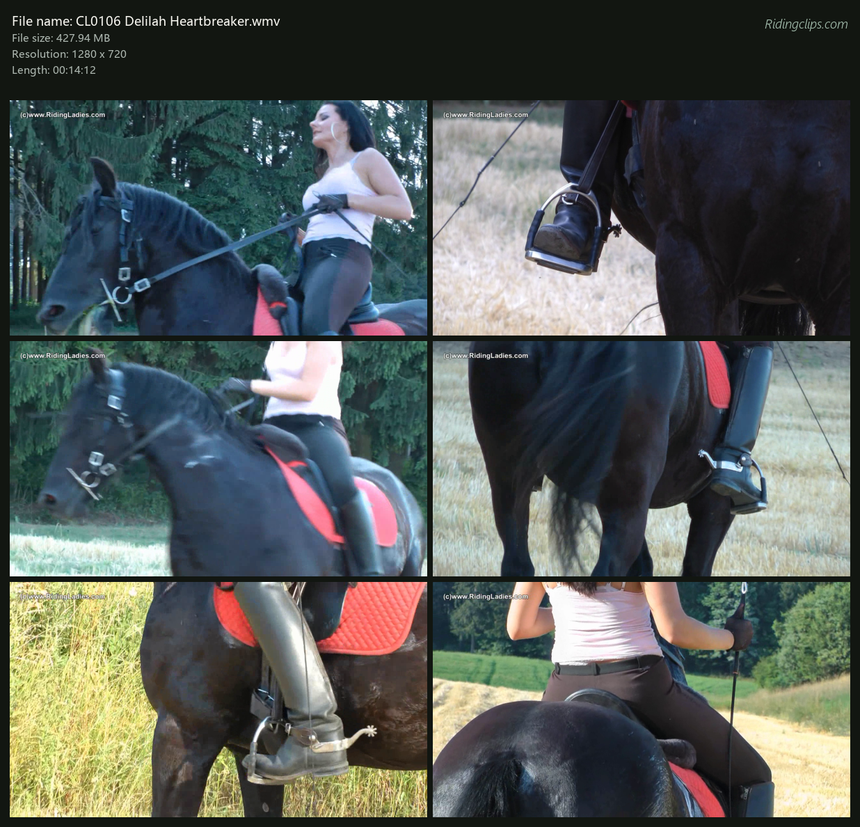 CL0106 Delilah Heartbreaker_2x3.png
