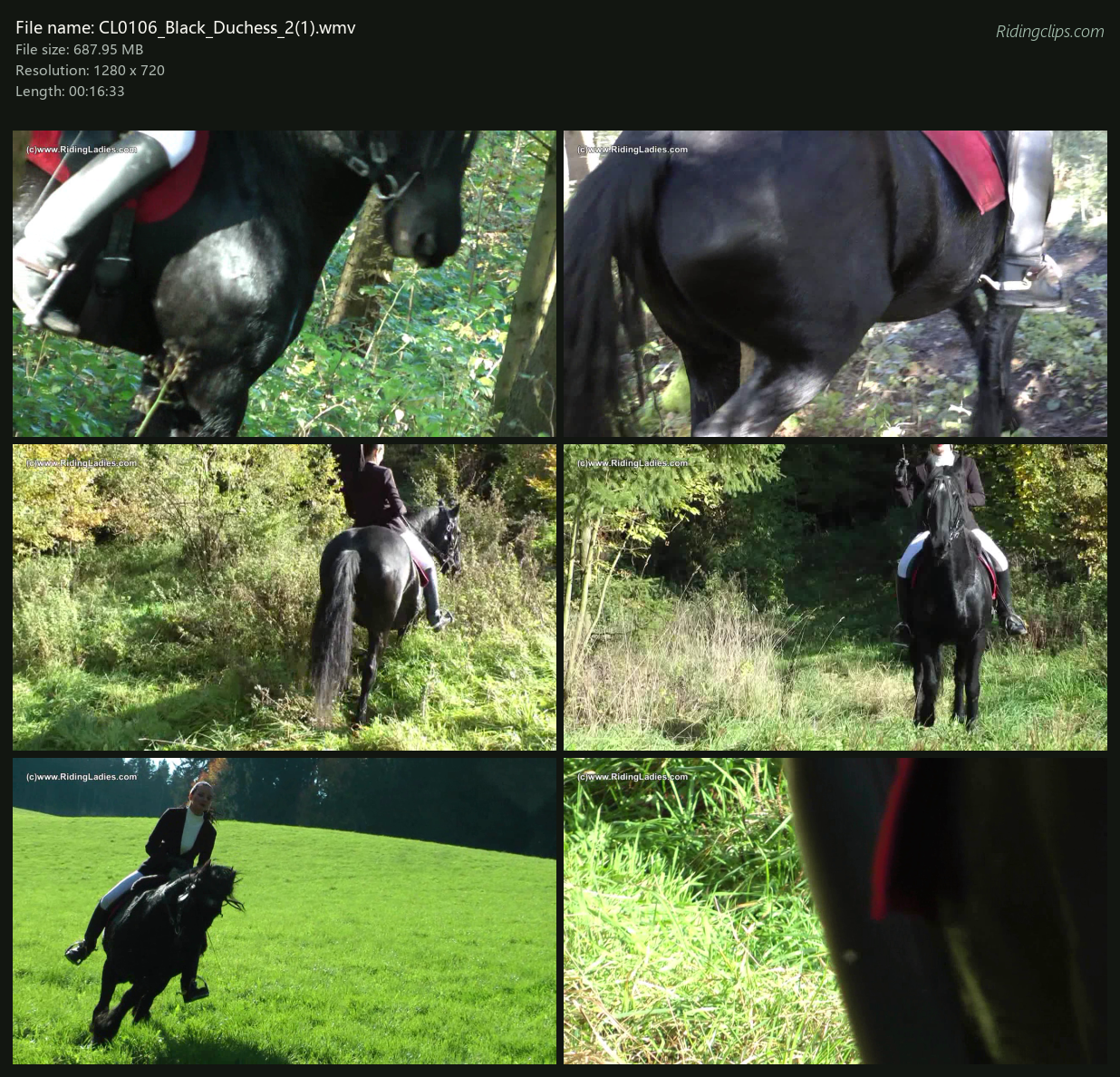 CL0106_Black_Duchess_2(1)_2x3.png