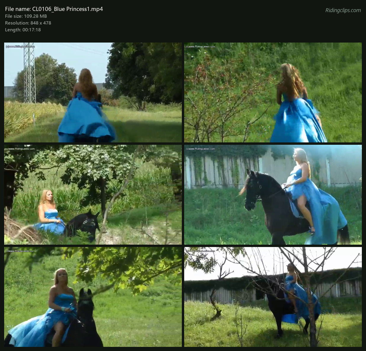 CL0106_Blue Princess1_2x3.png