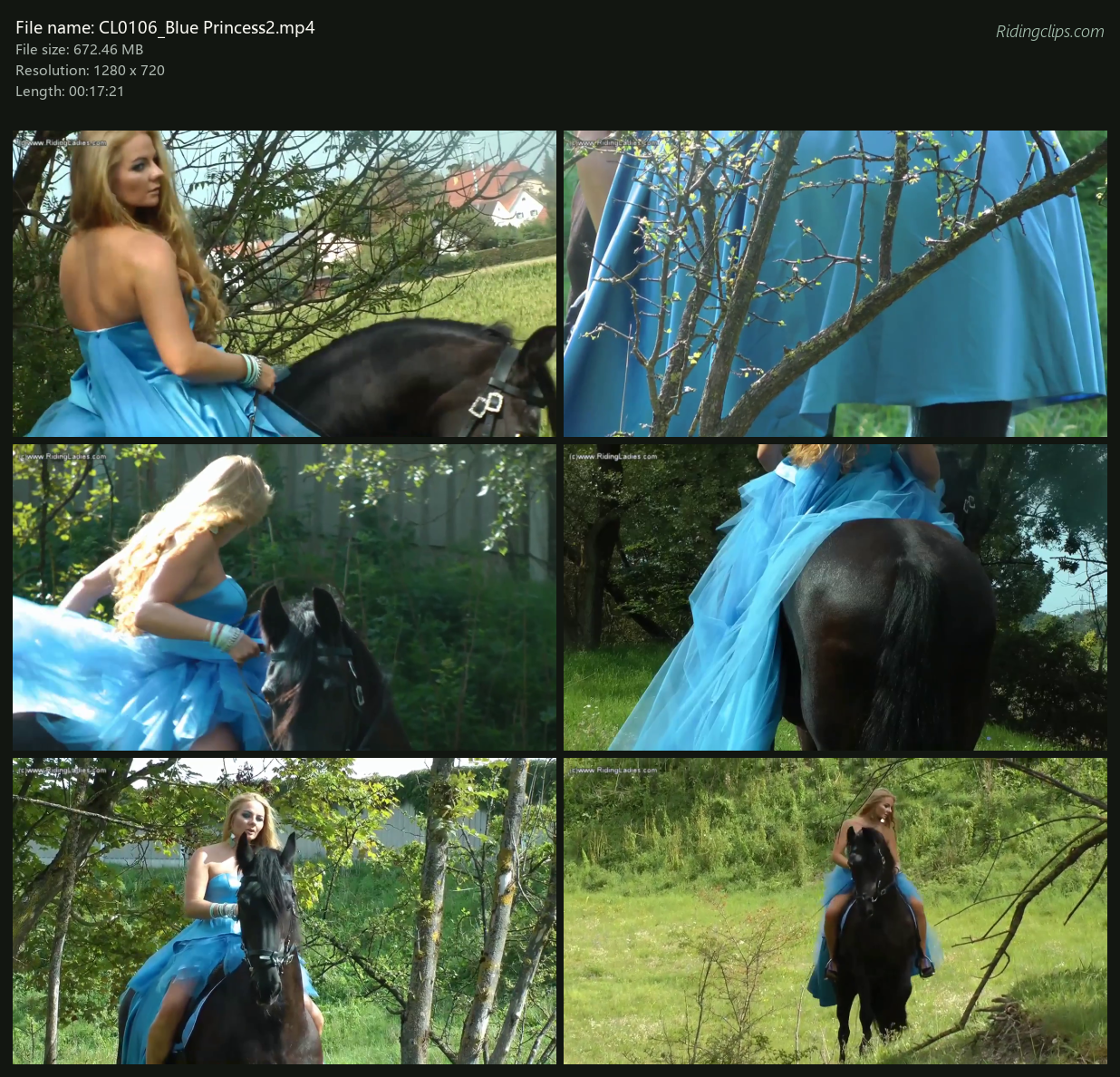 CL0106_Blue Princess2_2x3.png