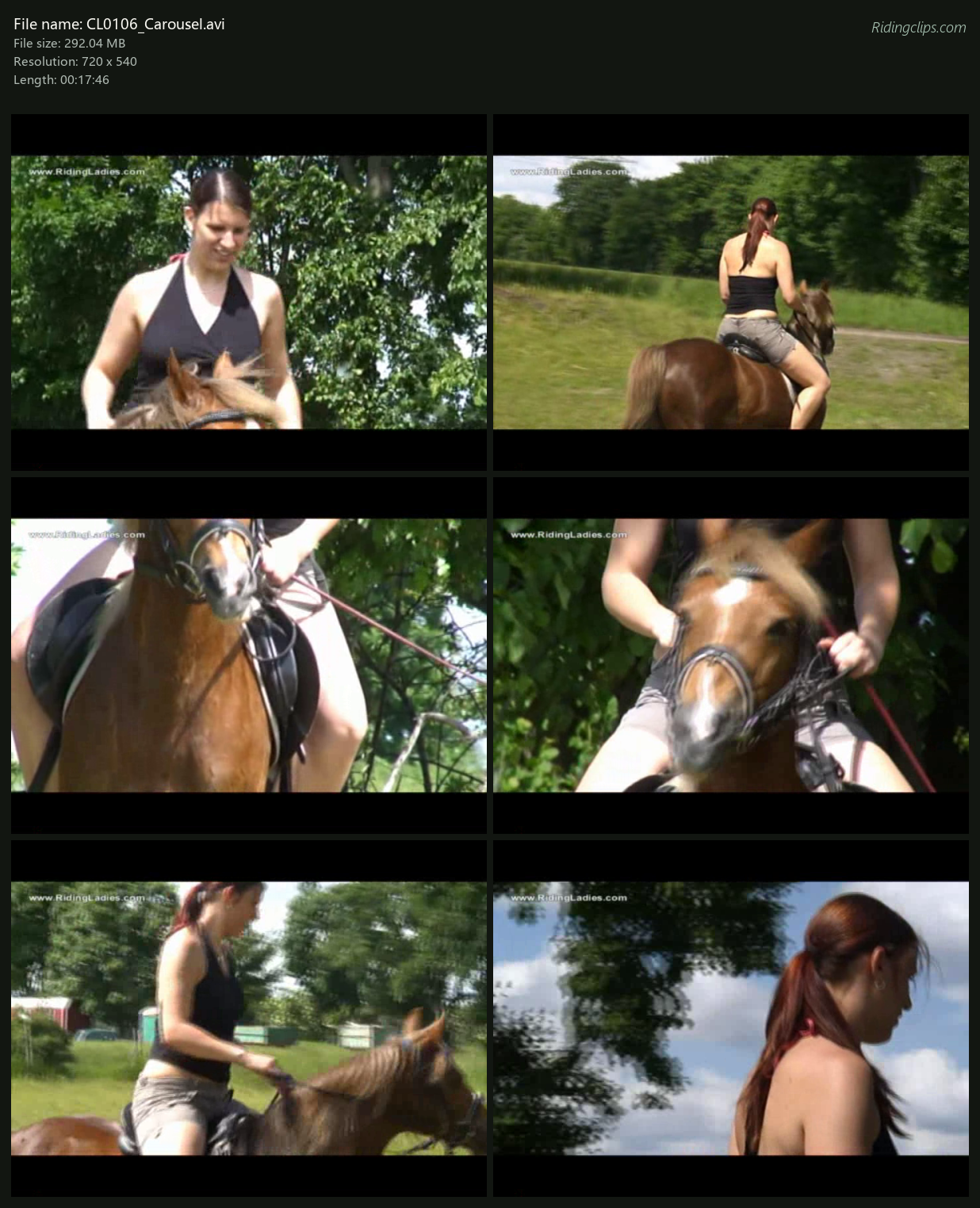 CL0106_Carousel_2x3.png