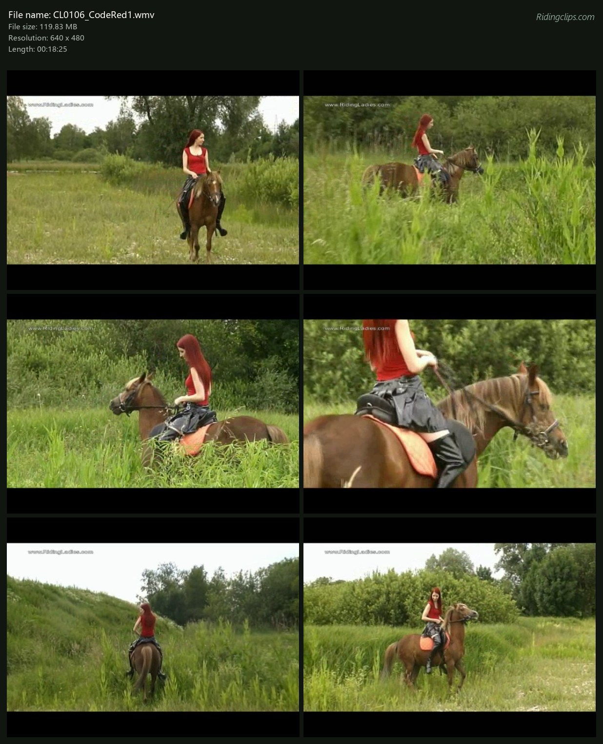 CL0106_CodeRed1_2x3.png