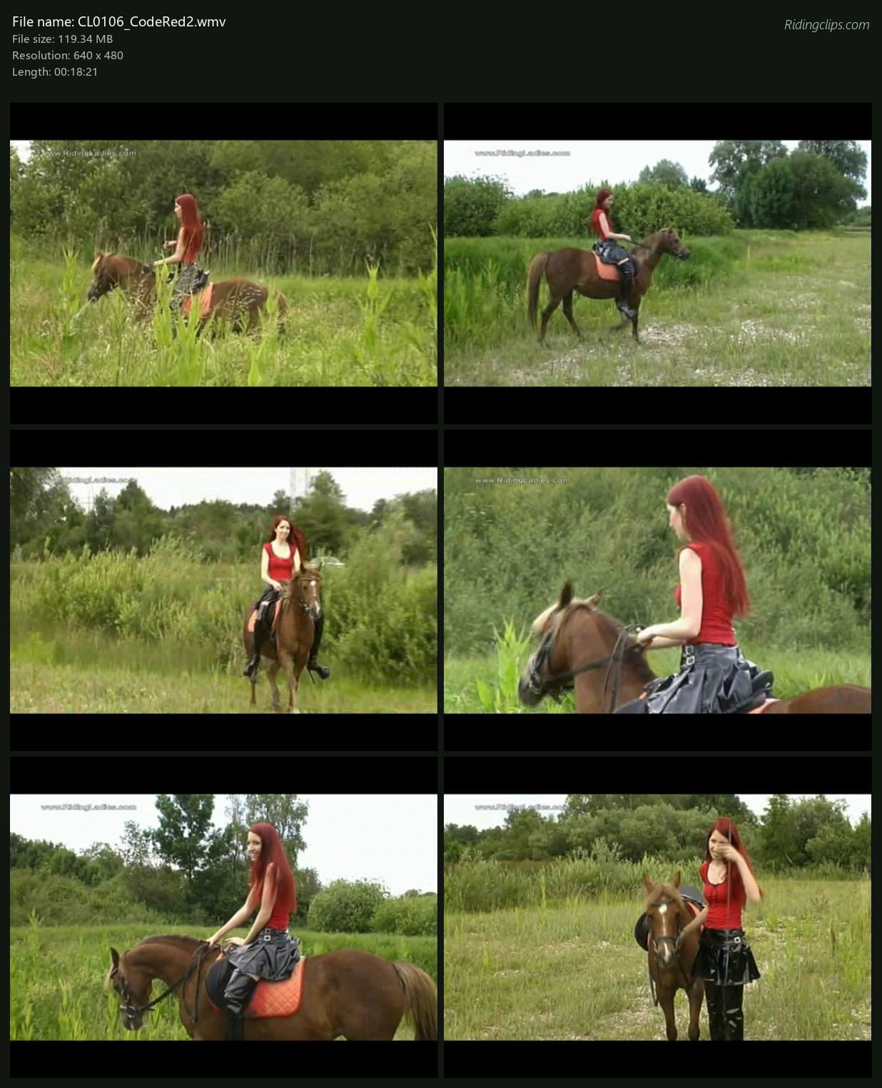 CL0106_CodeRed2_2x3.png