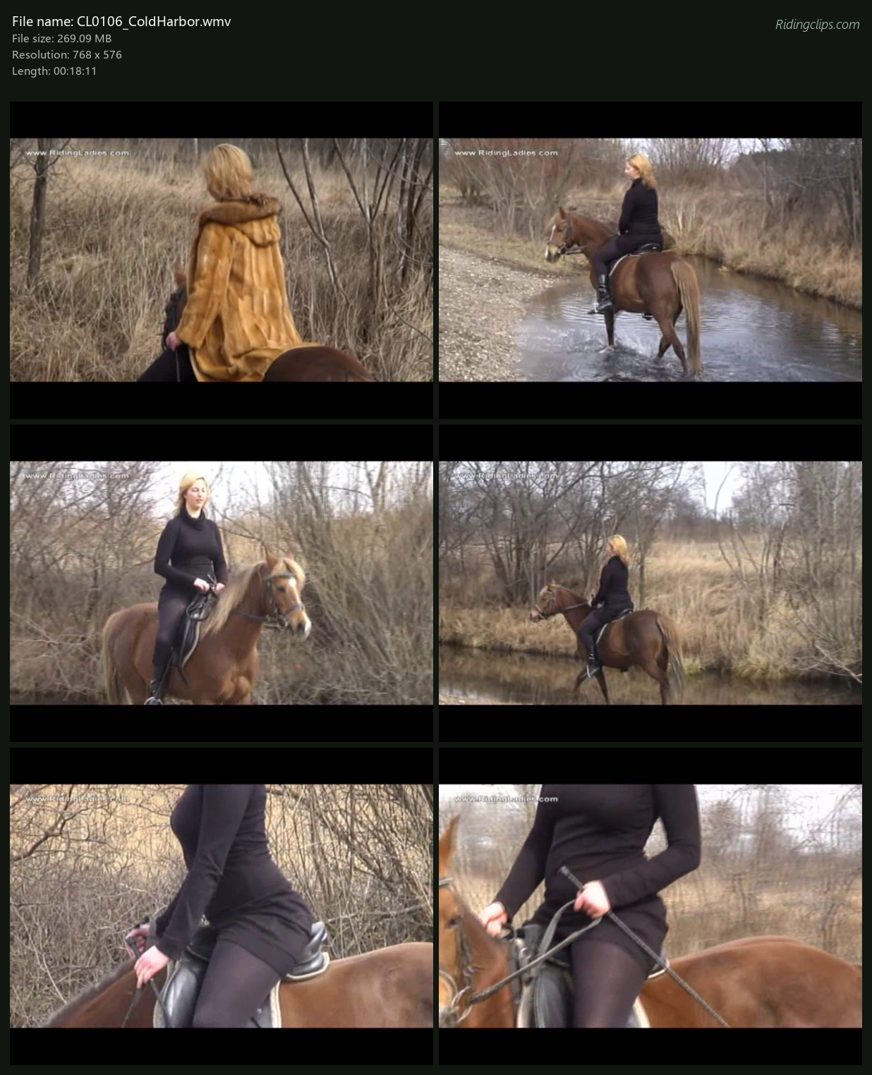 CL0106 ColdHarbor.wmv