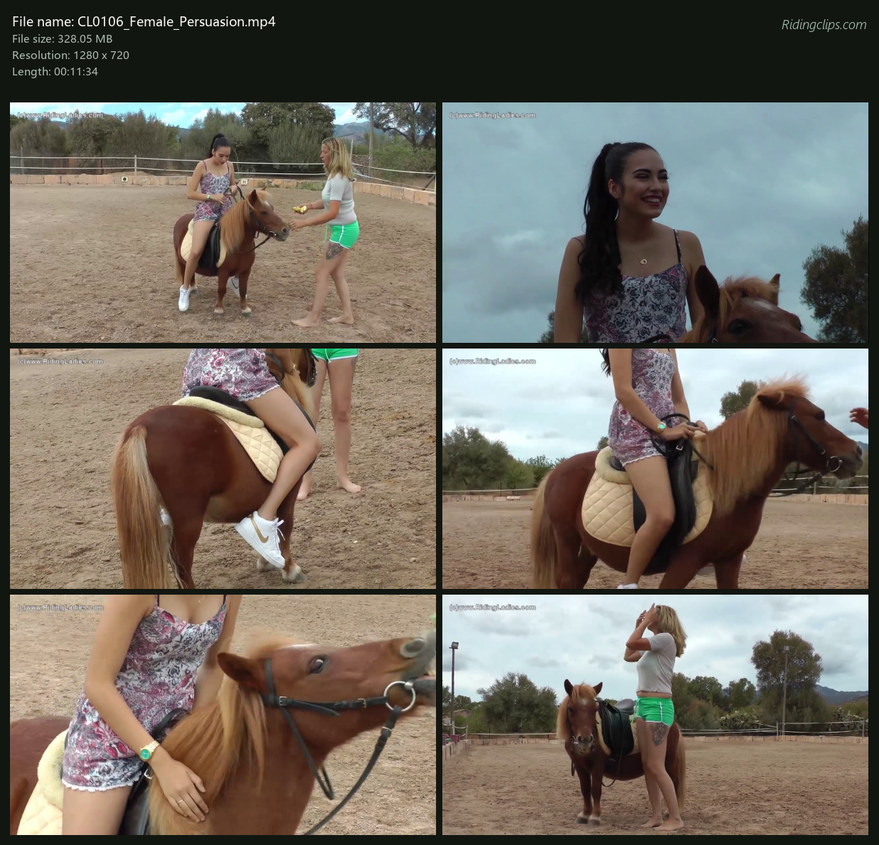 CL0106_Female_Persuasion_2x3.png