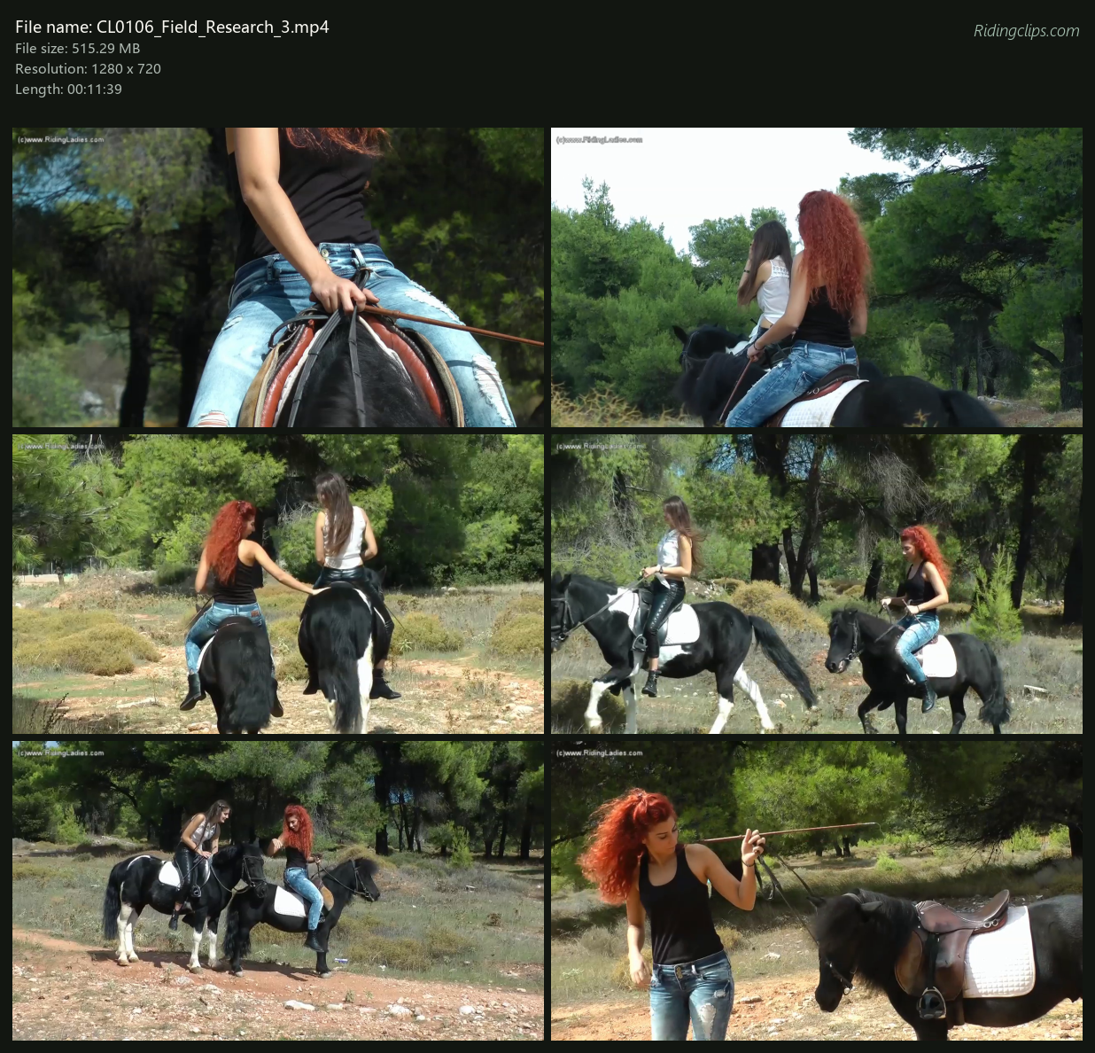 CL0106_Field_Research_3_2x3.png