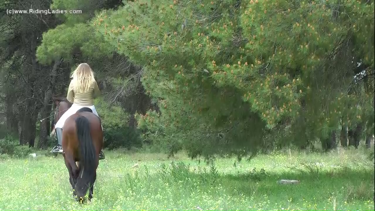 CL0106_FK_No_Country_for_old_Mares_random_01.png