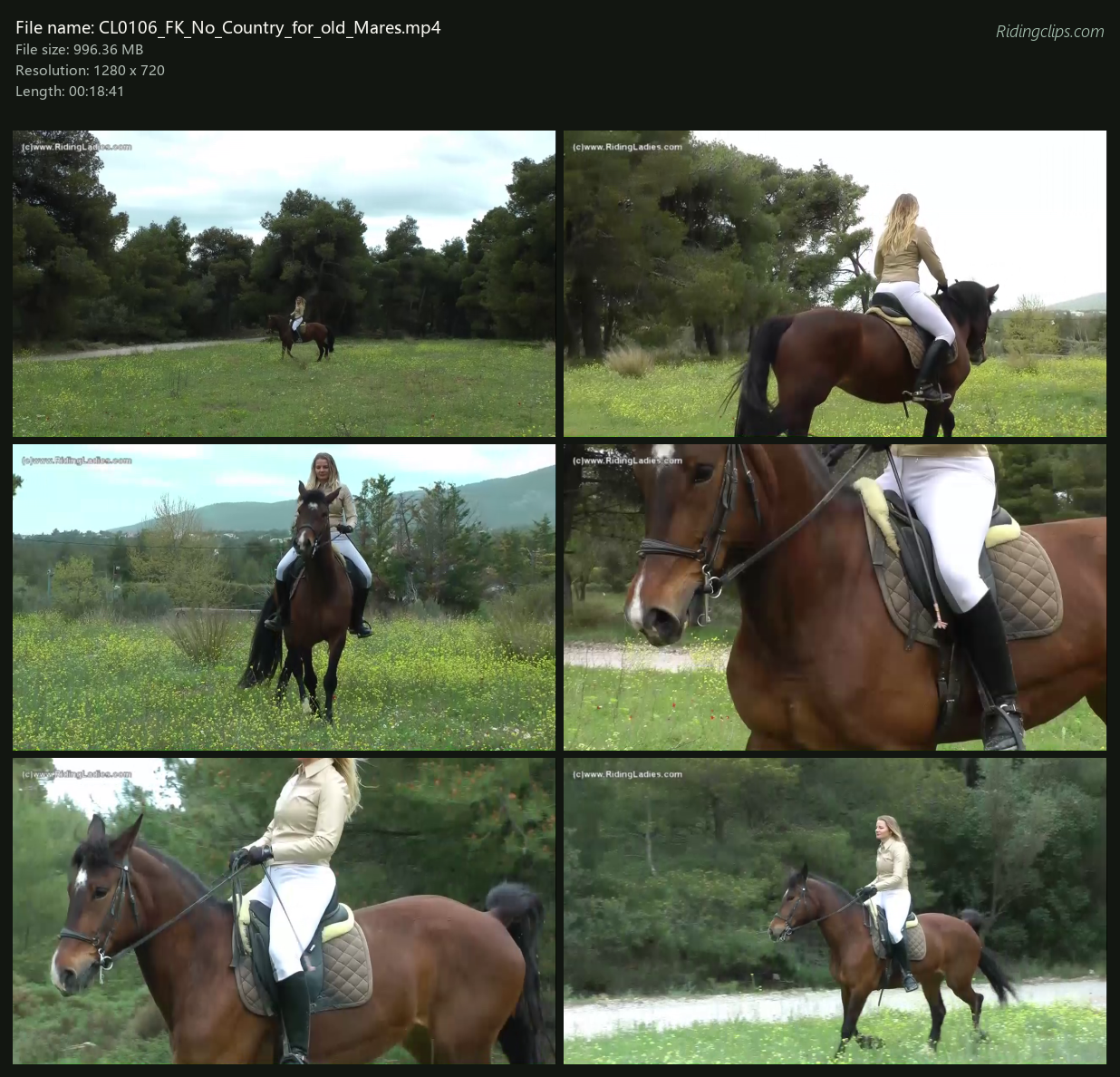 CL0106_FK_No_Country_for_old_Mares_2x3.png