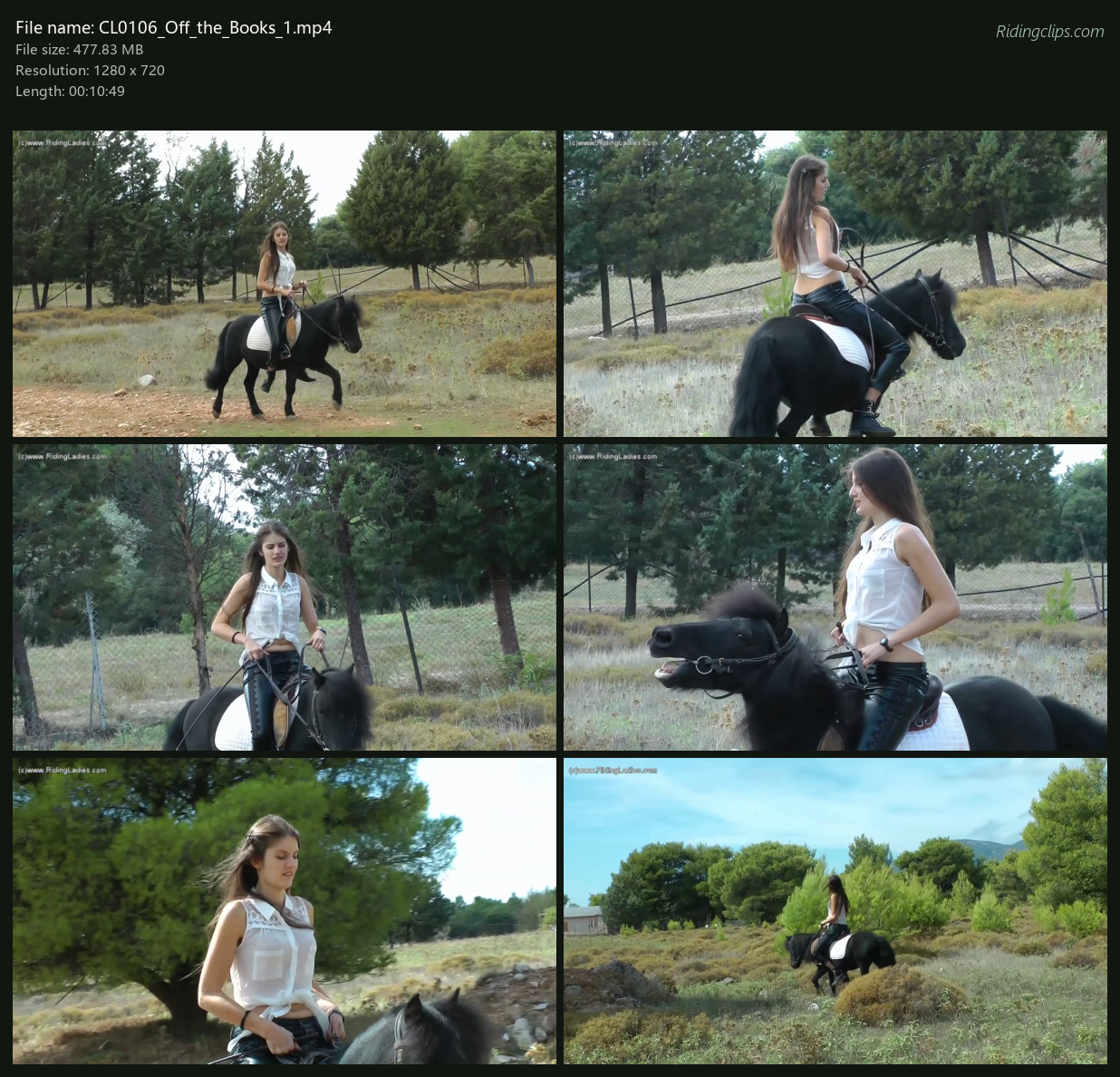 CL0106_Off_the_Books_1_2x3.png
