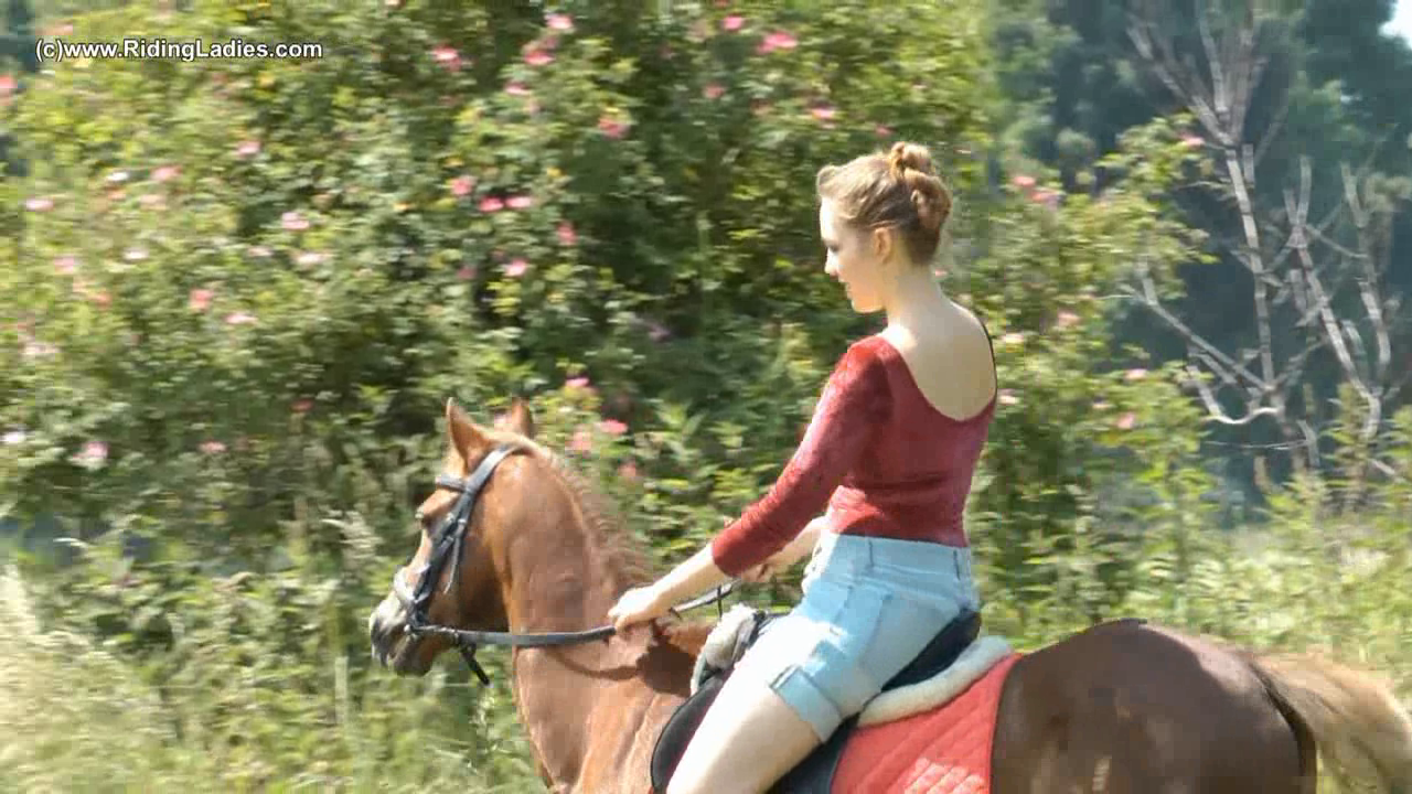 CL0106_Pony_for_my_Saddle_random_01.png