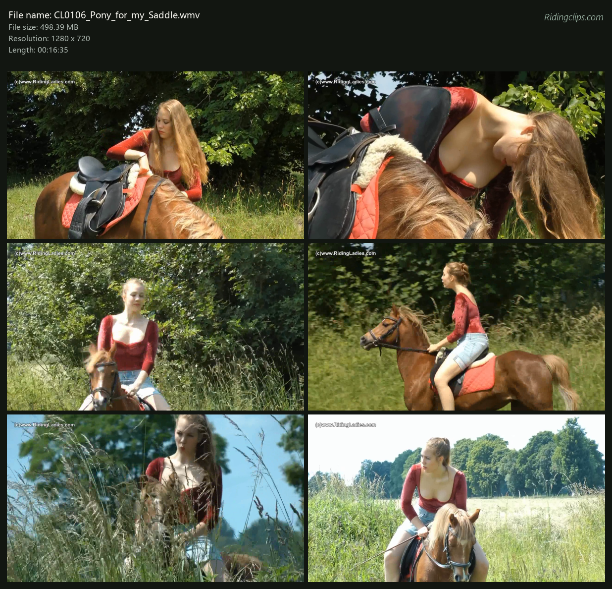 CL0106_Pony_for_my_Saddle_2x3.png