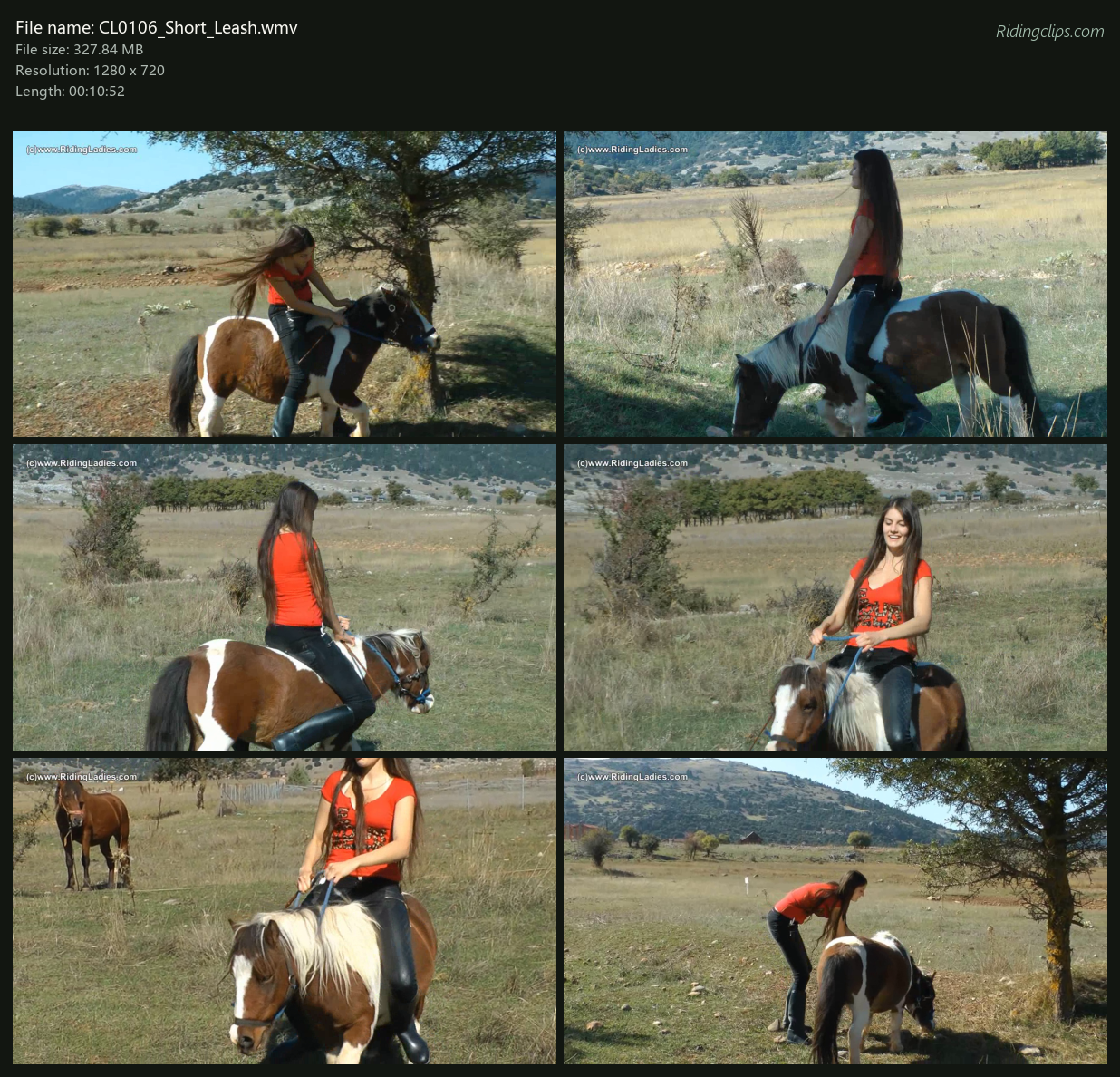CL0106_Short_Leash_2x3.png