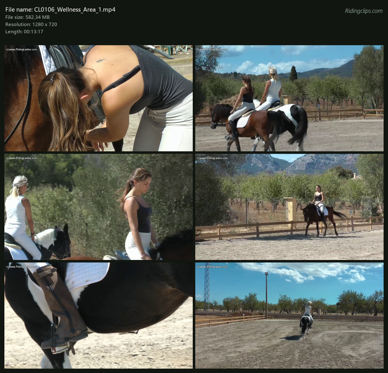 CL0106_Wellness_Area_1_2x3.png
