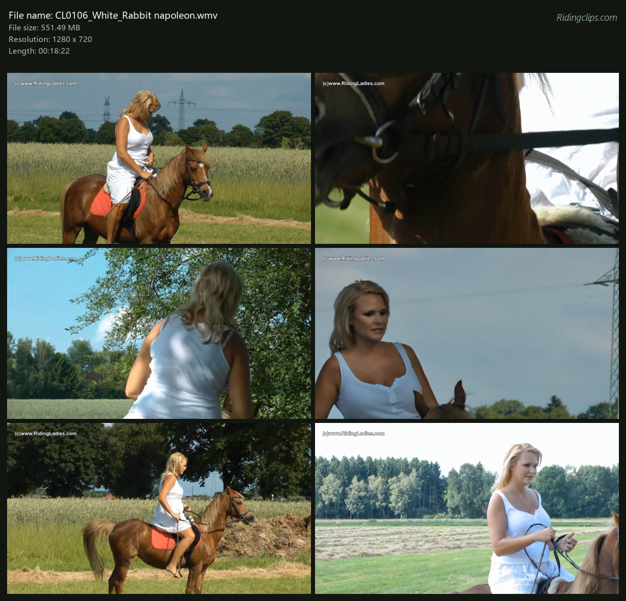 CL0106_White_Rabbit napoleon_2x3.png