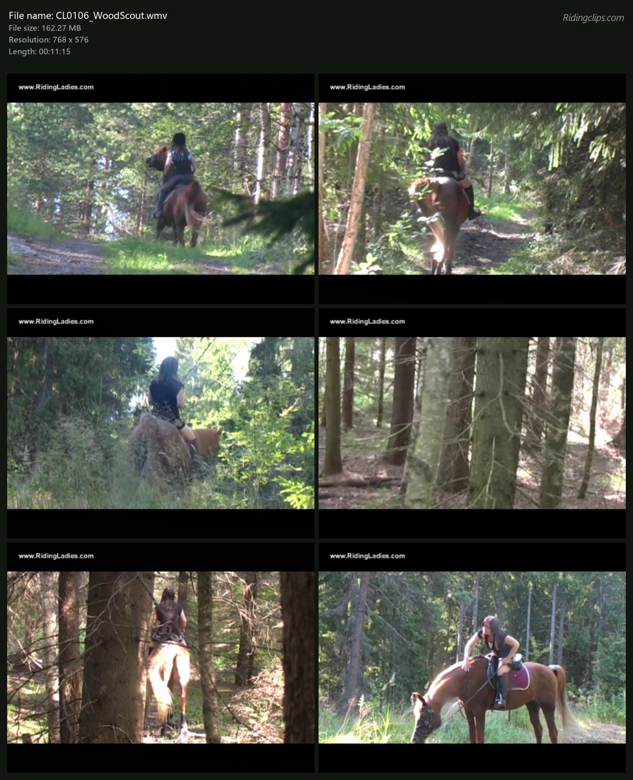CL0106_WoodScout_2x3.png