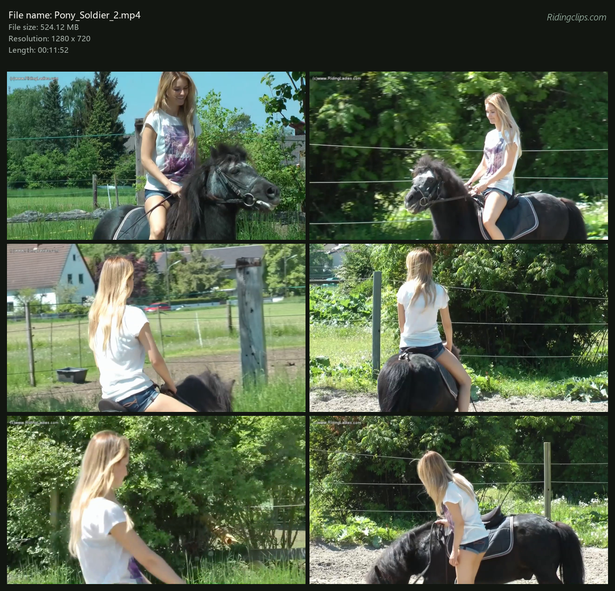 Pony_Soldier_2_2x3.png