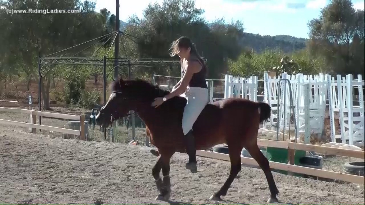 pony-Relaxant_random_01.png