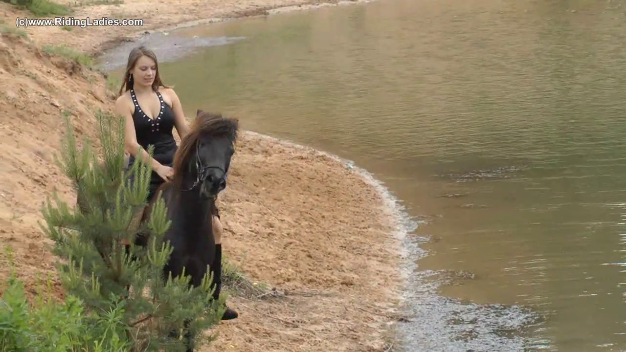 SeaHorse_Bareback_random_01.png