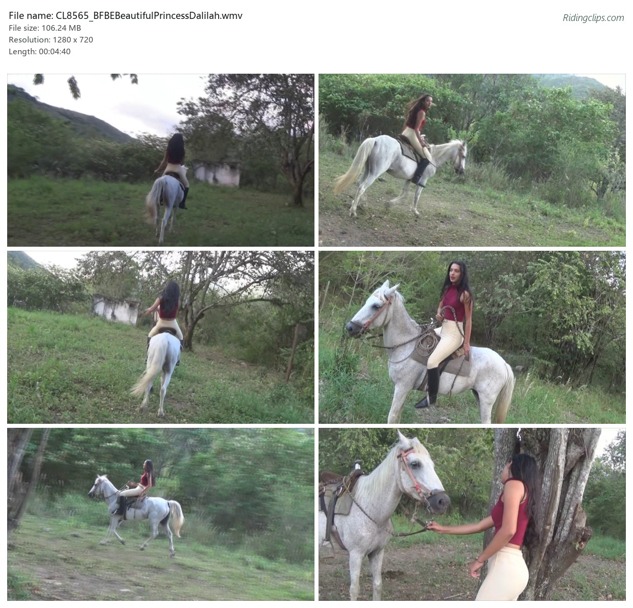 CL8565_BFBEBeautifulPrincessDalilah.wmv_2x3.jpg
