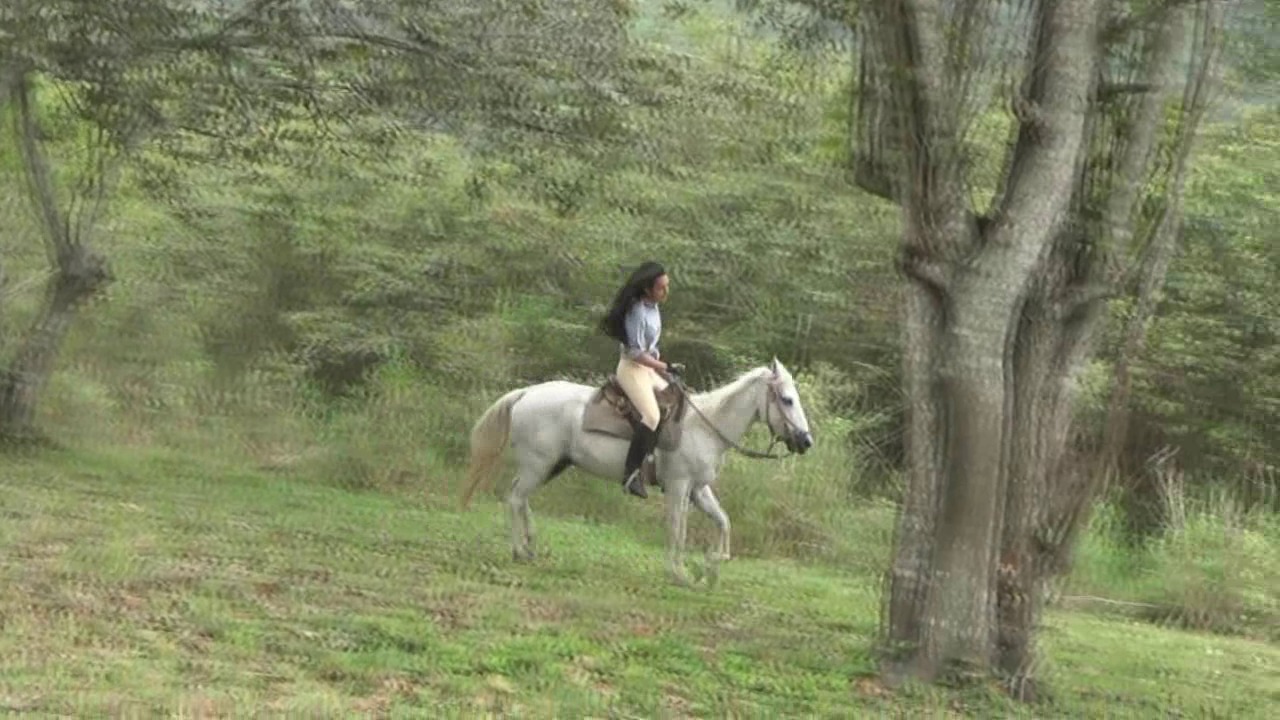 CL8565_BFBEPrincessDalilahymoro(1).wmv_random_01.jpg