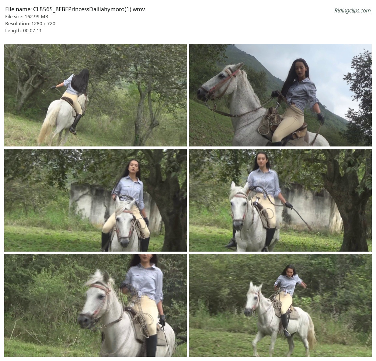 CL8565_BFBEPrincessDalilahymoro(1).wmv_2x3.jpg