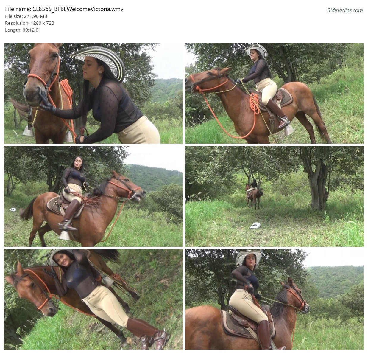 CL8565_BFBEWelcomeVictoria.wmv_2x3.jpg