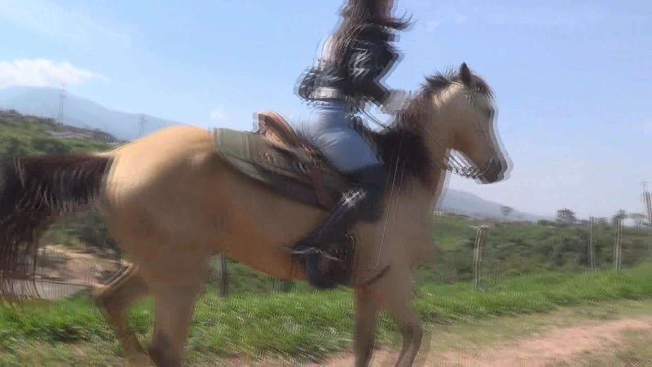 CL8565_JF_AdriannaTryingTheMedievals.wmv_random_01.jpg