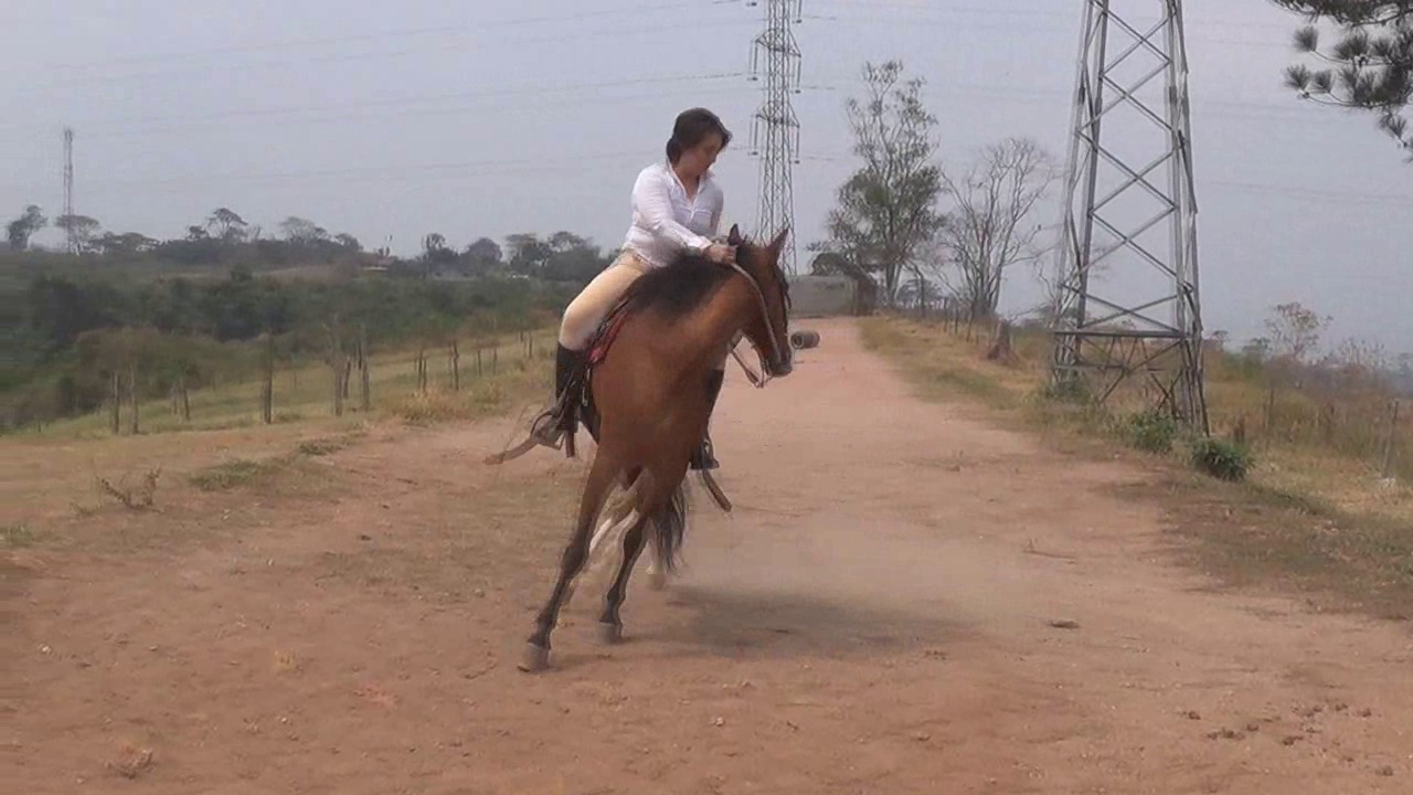 CL8565_JF_AnaRacingWhip.wmv_random_01.jpg