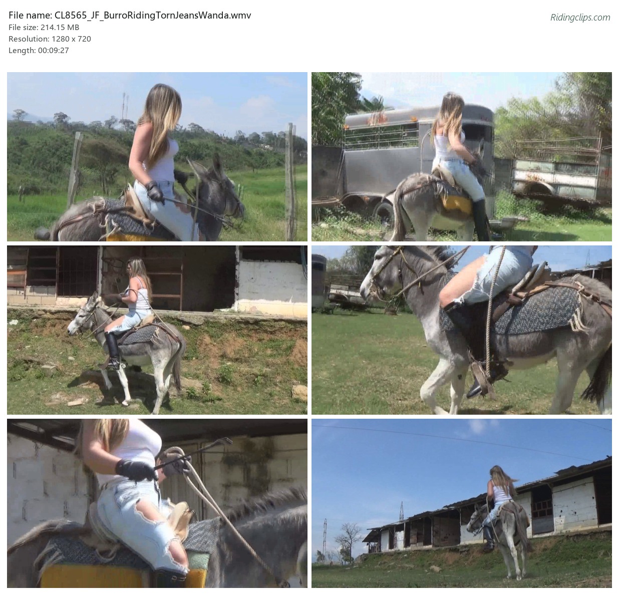 CL8565_JF_BurroRidingTornJeansWanda.wmv_2x3.jpg