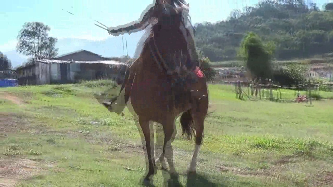 CL8565_JF_RecoleoQueenAdrianna.wmv_random_01.jpg