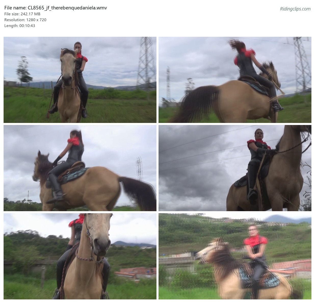 CL8565_jf_therebenquedaniela.wmv_2x3.jpg