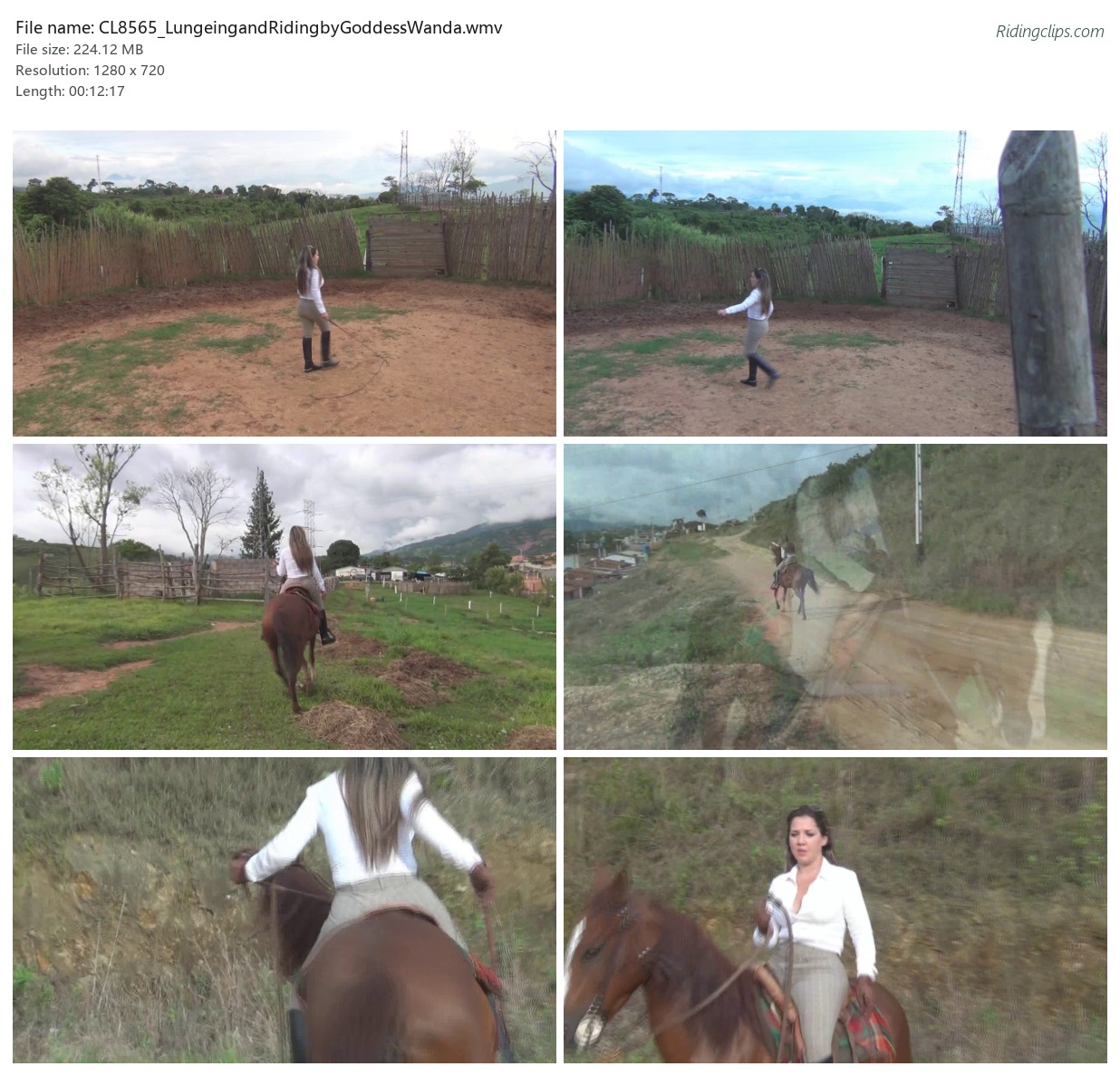 CL8565_LungeingandRidingbyGoddessWanda.wmv_2x3.jpg