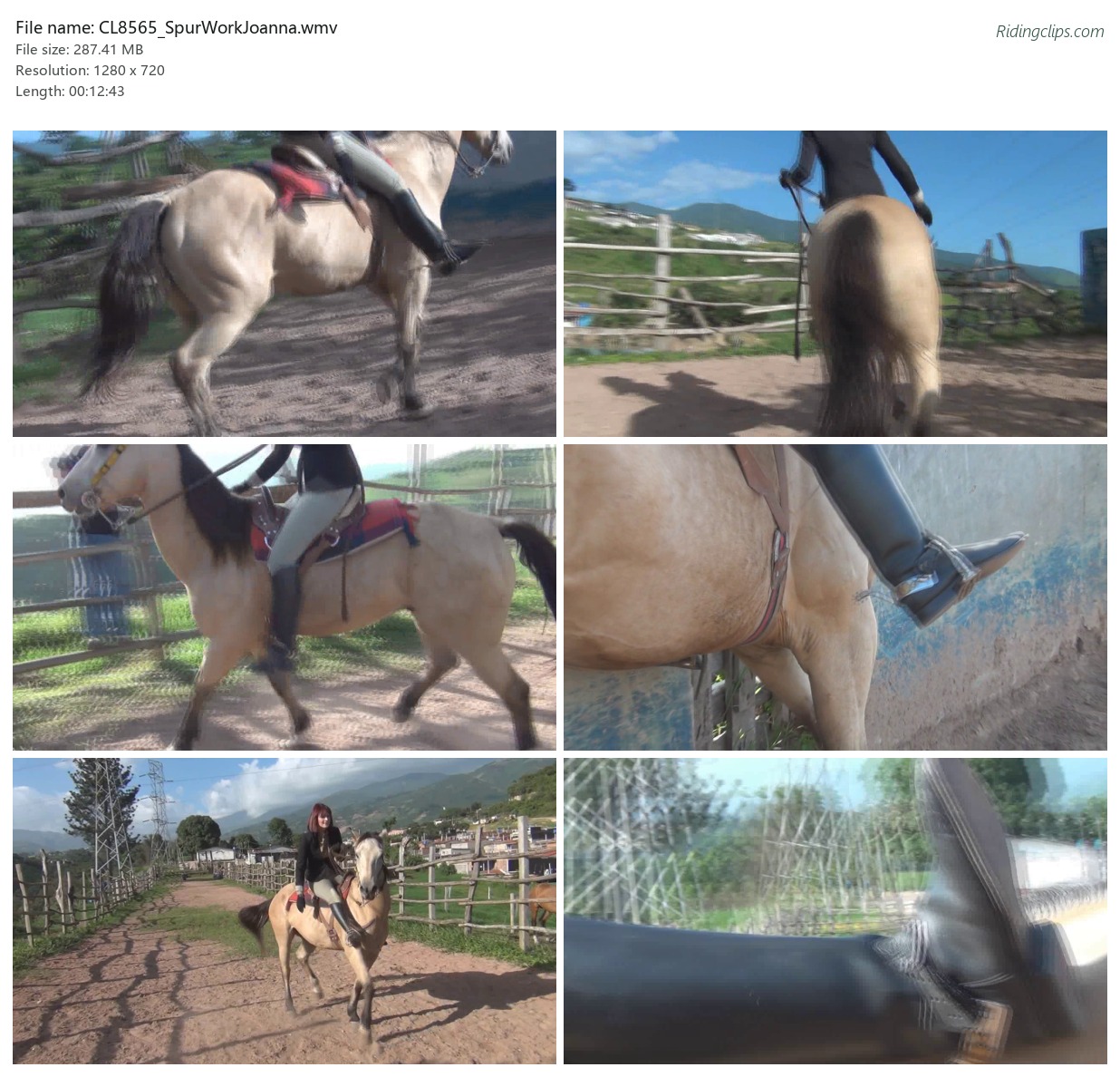 CL8565_SpurWorkJoanna.wmv_2x3.jpg