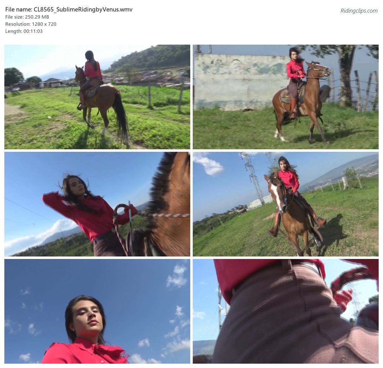 CL8565_SublimeRidingbyVenus.wmv_2x3.jpg