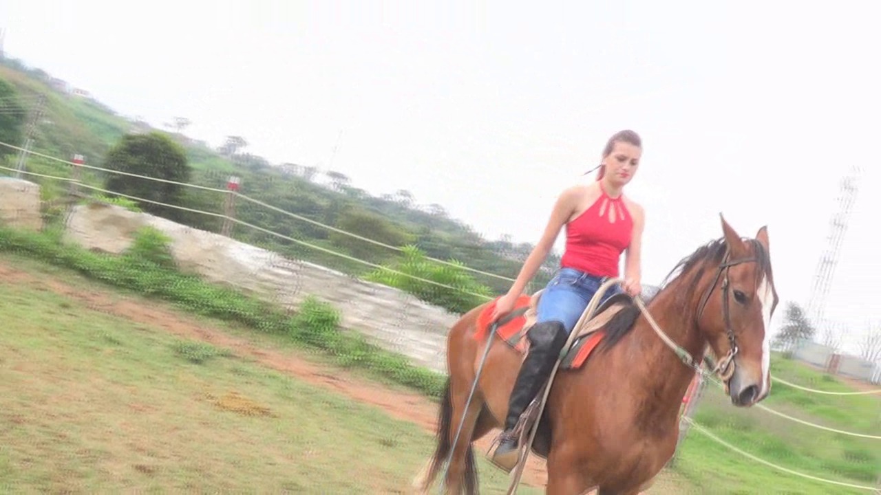 CL8565_TF_DominantRidingDaniela.wmv_random_01.jpg
