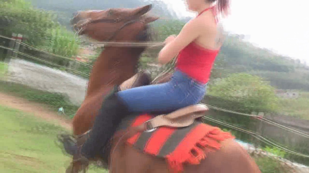 CL8565 TF DominantRidingDaniela(1).wmv