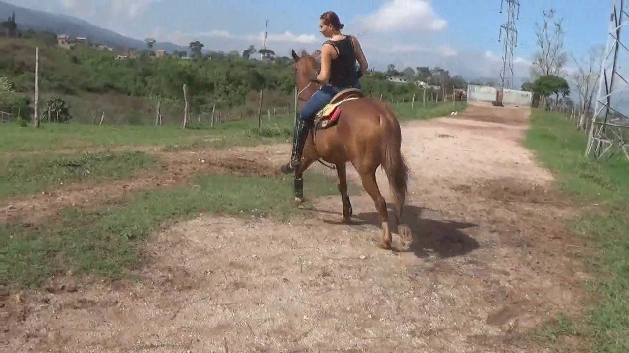 CL8565_TF_GallopingWorkoutJ.wmv_random_01.jpg