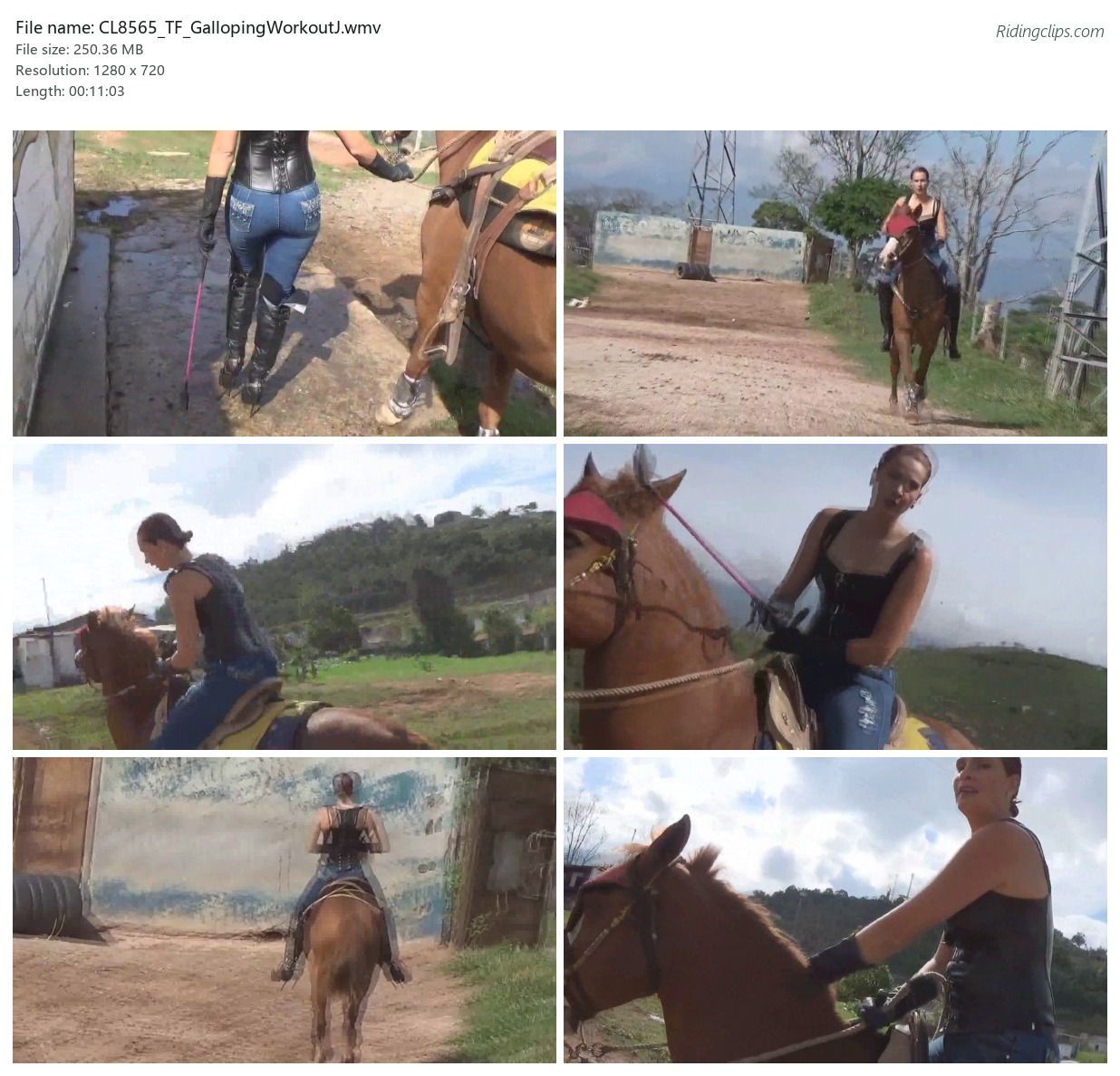 CL8565_TF_GallopingWorkoutJ.wmv_2x3.jpg