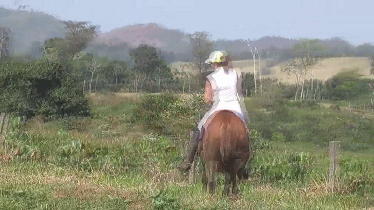 CL8565_TF_NewFarmRideJoanna.wmv_random_01.jpg