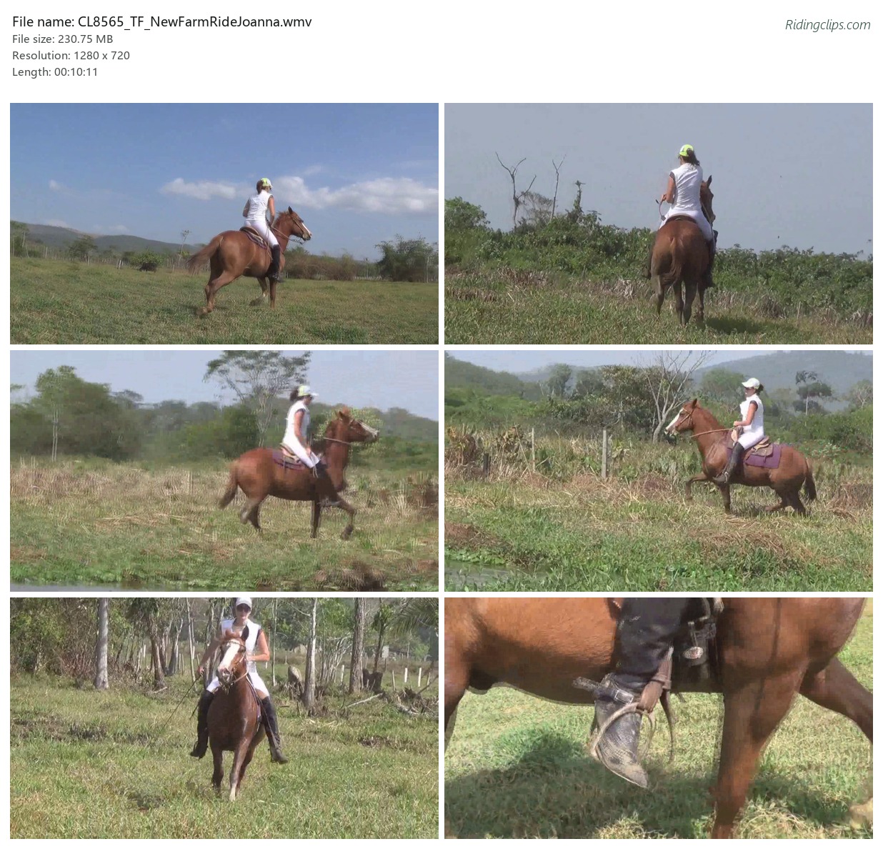 CL8565_TF_NewFarmRideJoanna.wmv_2x3.jpg