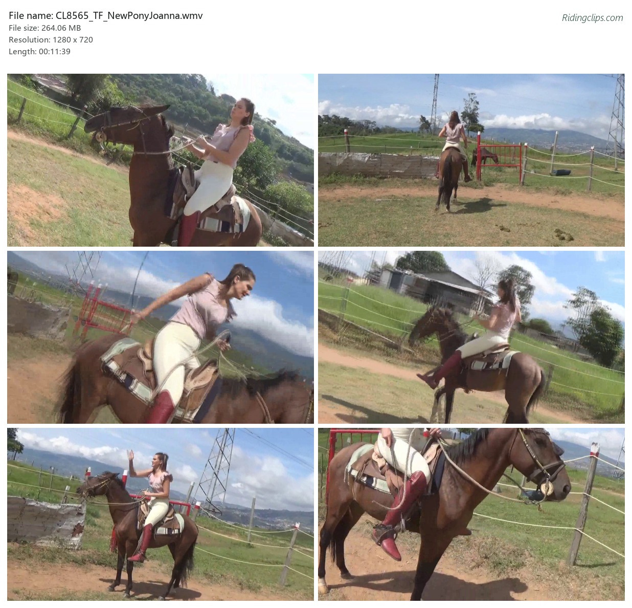 CL8565_TF_NewPonyJoanna.wmv_2x3.jpg