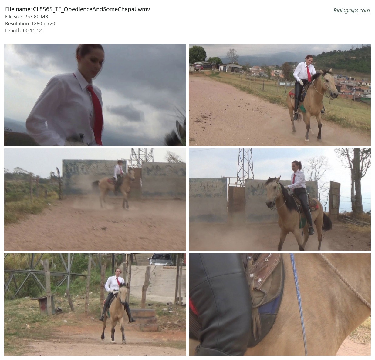 CL8565_TF_ObedienceAndSomeChapaJ.wmv_2x3.jpg