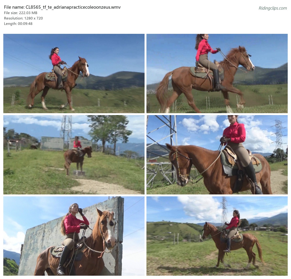 CL8565_tf_te_adrianapracticecoleoonzeus.wmv_2x3.jpg