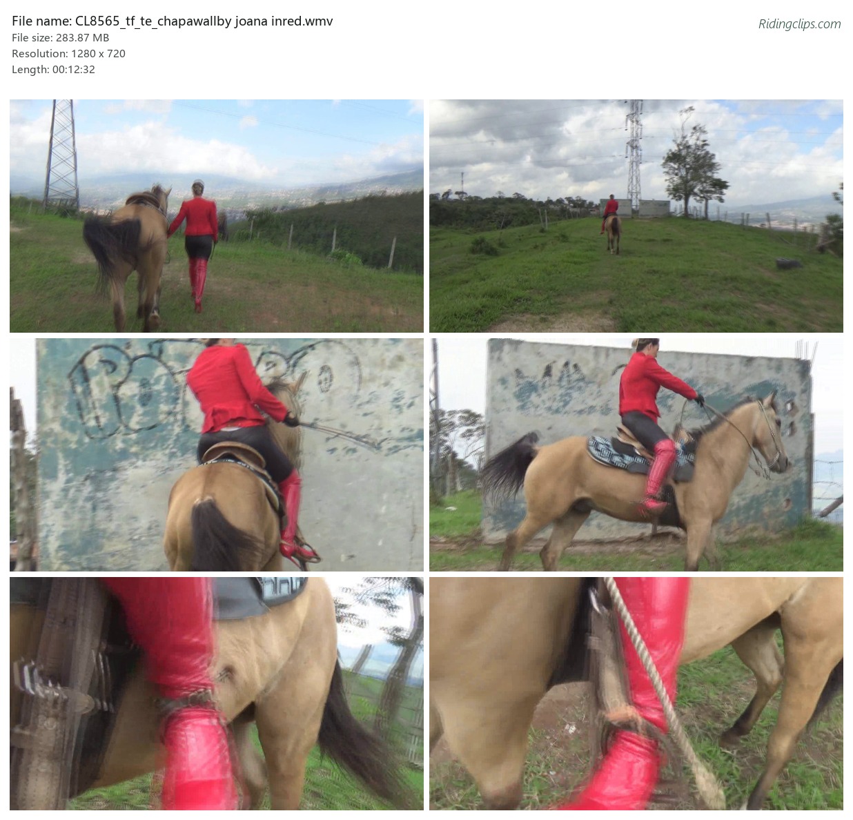 CL8565_tf_te_chapawallby joana inred.wmv_2x3.jpg