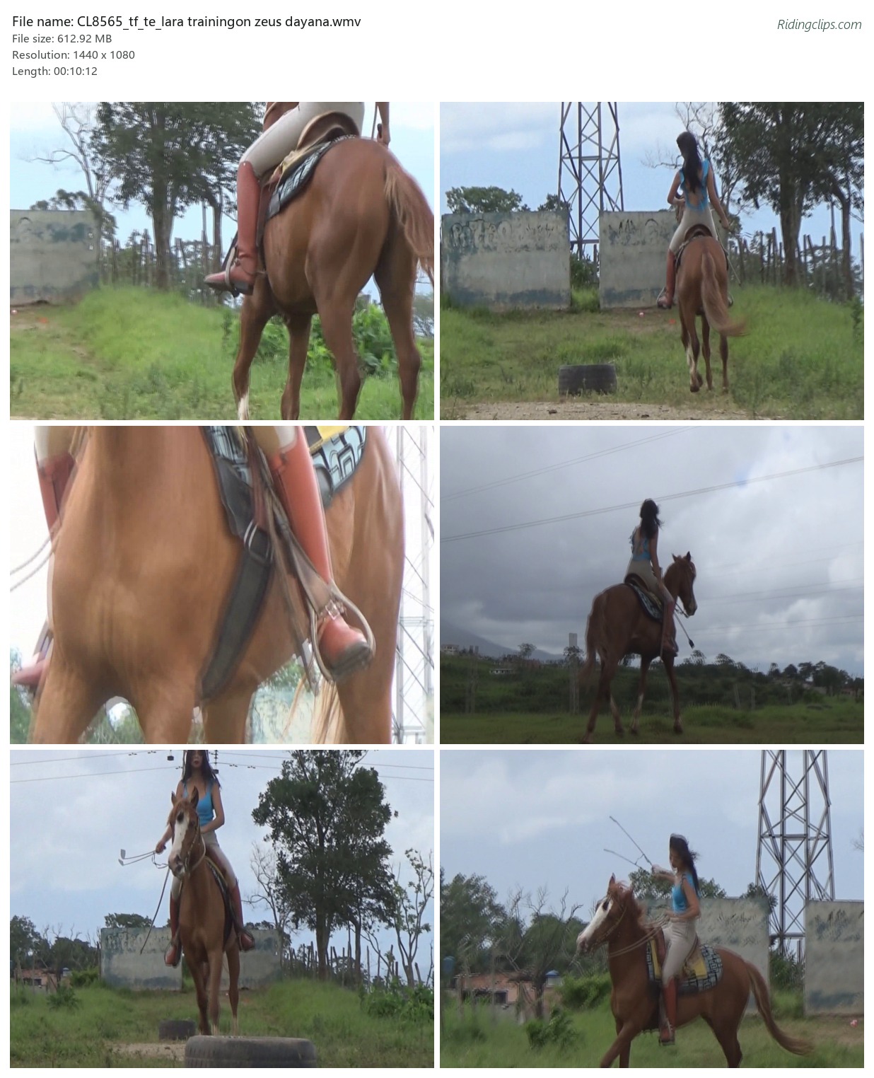 CL8565_tf_te_lara trainingon zeus dayana.wmv_2x3.jpg