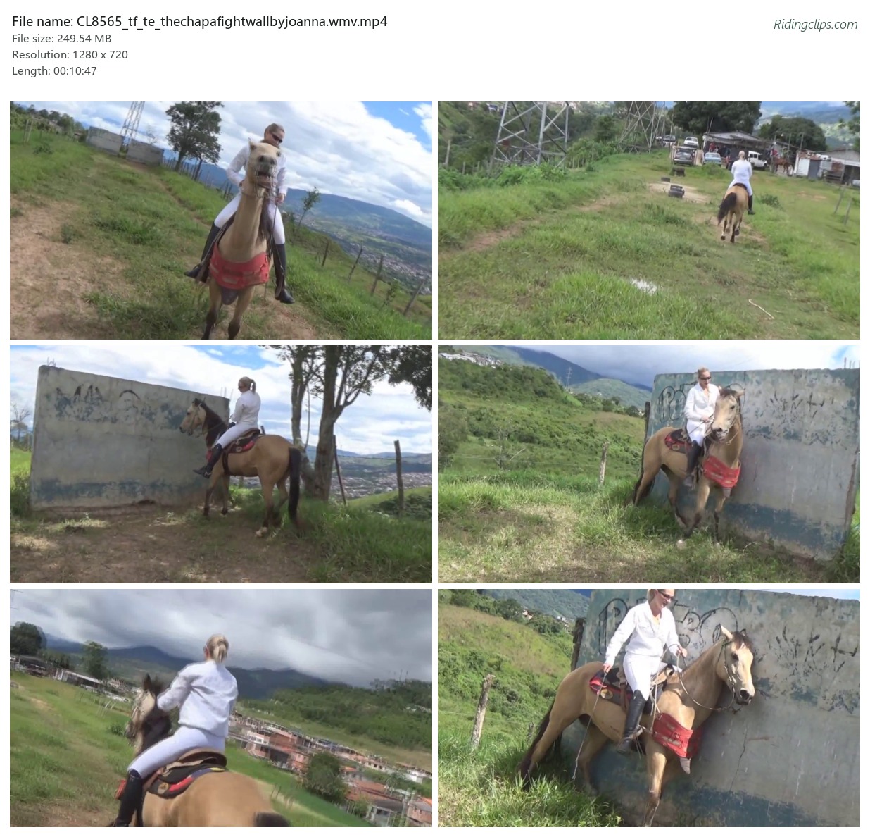 CL8565_tf_te_thechapafightwallbyjoanna.wmv.mp4_2x3.jpg