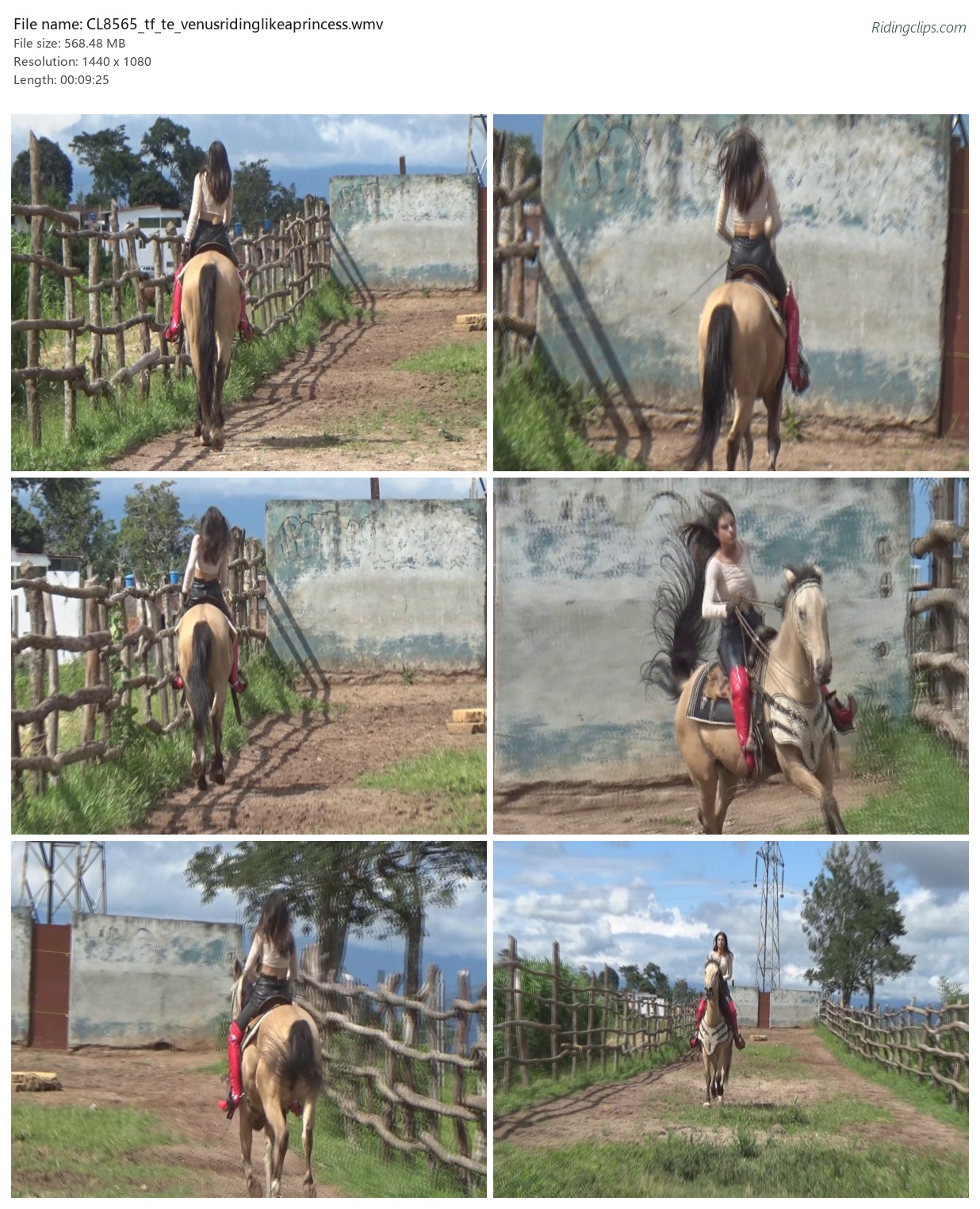 CL8565_tf_te_venusridinglikeaprincess.wmv_2x3.jpg