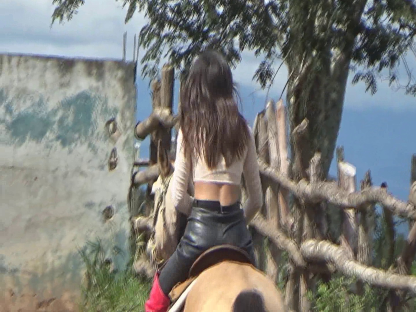 CL8565_tf_te_venusridinglikeaprincess.wmv_random_01.jpg