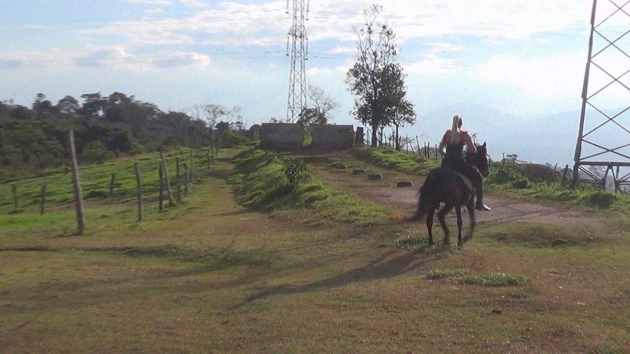 CL8565 tf tejoannaandtheblackstallion.wmv