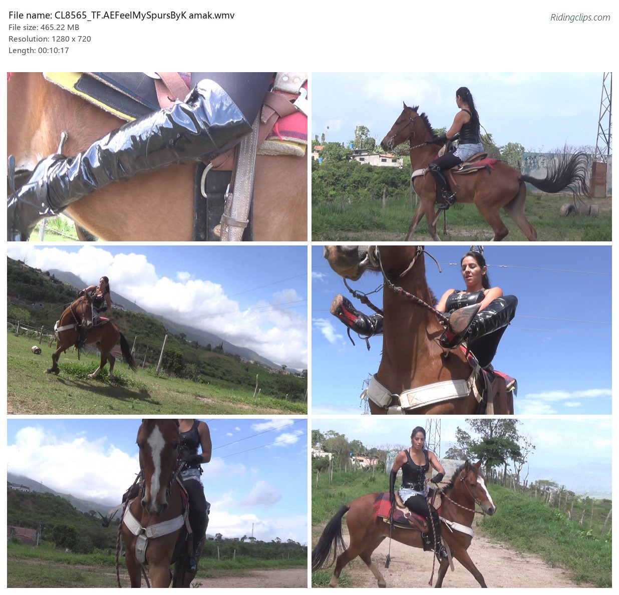 CL8565_TF.AEFeelMySpursByK amak.wmv_2x3.jpg
